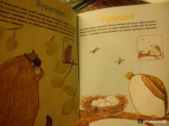 Елена Янушко: Бумажные полоски