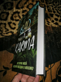 Пол Уилсон: Bad Karma. История моей адской поездки в Мексику