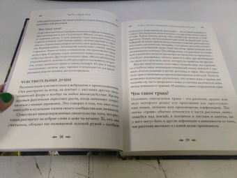 Джуди Нок: Колдовские травы. Ведьмовской путеводитель по тайным силам растений