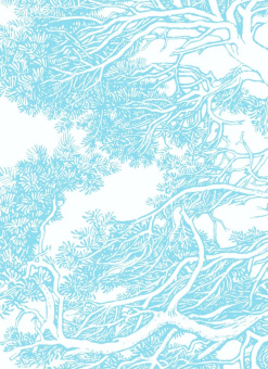 Дэнни Пенман: Искусство дыхания. Секрет осознанной жизни