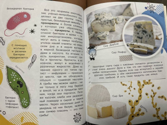 Анастасия Мещерякова: Почему мы болеем?