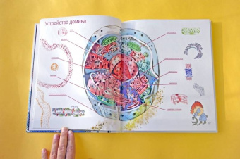 Егоров, Нечипоренко: Живой дом