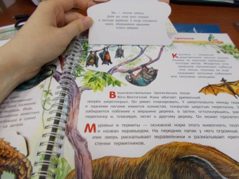 Владимир Бабенко: Животные