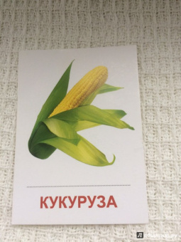 Раздаточные карточки "Овощи" (63х87 мм)