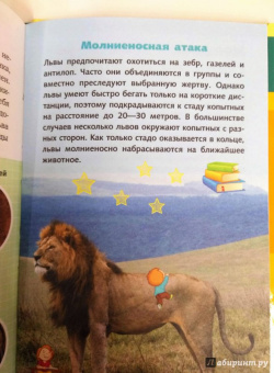 Кошевар, Хомич: Всё обо всём