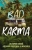 Пол Уилсон: Bad Karma. История моей адской поездки в Мексику