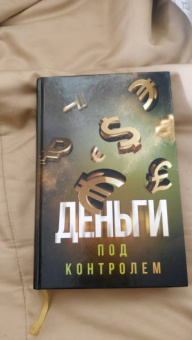 Шамиль Аляутдинов: Деньги под контролем
