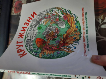 Круг жизни
