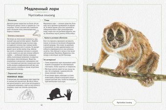 Сэми Бэйли: Энциклопедия опасных животных