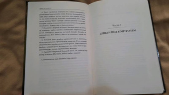 Шамиль Аляутдинов: Деньги под контролем