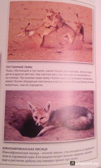 Бамбарадения, Вудрафф, Гинзберг: Животный мир. Иллюстрированный атлас