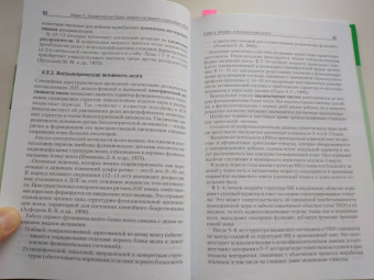 Юрий Микадзе: Нейропсихология детского возраста. Учебное пособие