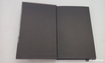 Андрей Дуксин: SCP Foundation. Secure. Contain. Protect. Книга 1