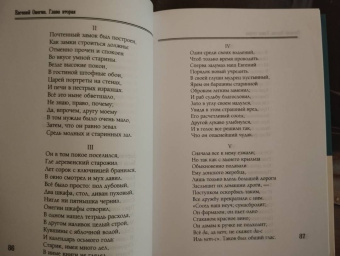 Александр Пушкин: Евгений Онегин