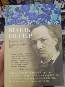 Шарль Бодлер: Цветы зла. Парижский сплин