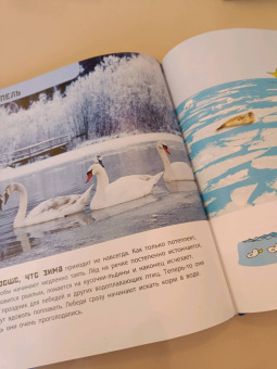 Мак Гагельдонк: От града до торнадо. Прекрасные и опасные явления природы