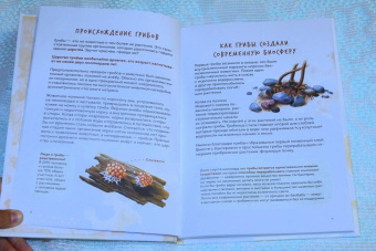 Михаил Вишневский: Грибы. Атлас-определитель