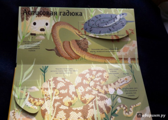 Боманн, Дюпон: Животные снаружи и внутри