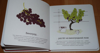 Гибер де: Как они растут?