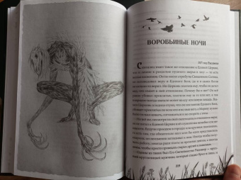 Анастасия Князь: Скиталец. Страшные сказки