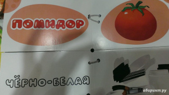 Найди половинки. Цвета и краски