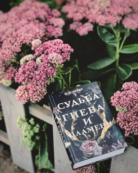 К. Такер: Судьба гнева и пламени