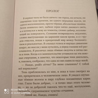 Нандо Паррадо: Чудо в Андах. 72 дня в горах и мой долгий путь домой
