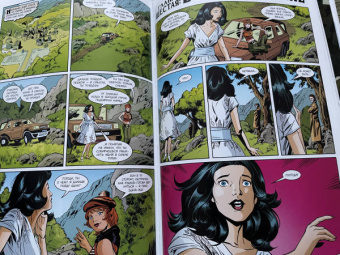 Билл Уиллингхэм: Сказки. Книга 6