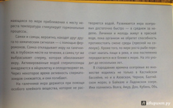 Дикие животные России