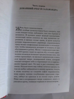 Рэй Брэдбери: 451° по Фаренгейту