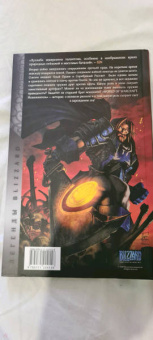 Микки Нельсон: World of Warcraft. Испепелитель