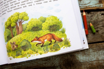 Дороченкова, Кравчук: Лесные секреты