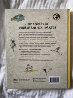 Матильда Мастерс: Может ли жираф облизать свои уши? И ещё 319 вопросов о мире вокруг