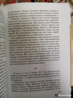 Владимир Новиков: Пушкин