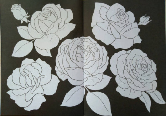 Раскраска ВОЛШЕБНЫЙ ЧЕРНЫЙ. ЦВЕТЫ И УЗОРЫ (Р-5489)