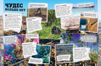 Бедуайер, Паркер, Фарндон: Земля. Книга юного эрудита