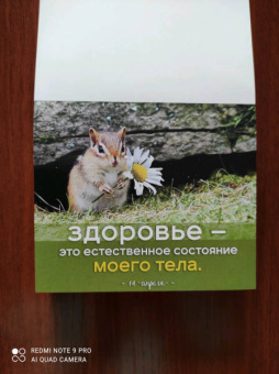 Луиза Хей: Я все могу! 365 установок, которые изменят вашу жизнь к лучшему