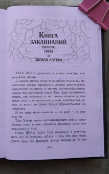 Ши Эрншоу: Зимняя Чаща