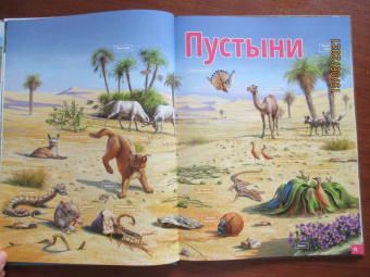 Жизнь животных. От тундры до пустыни