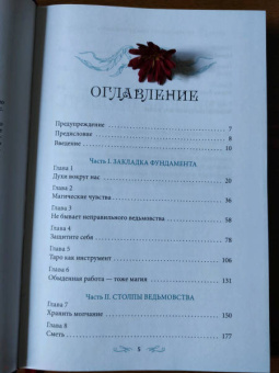 Винсент Хиггинботэм: Как ведьмовство спасло мою жизнь. Практические советы по трансформационной магии