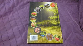 Петр Волцит: Ягоды и грибы