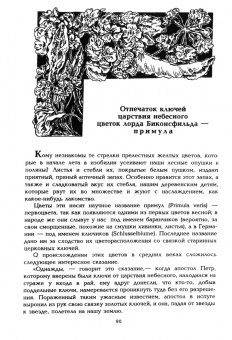 Николай Золотницкий: Цветы в легендах и преданиях
