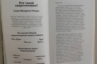 Валерия Черепенчук: Ницше. Принципы, идеи, судьба