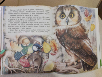 Николай Сладков: Бюро лесных услуг