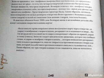 Мартин Клейтон: Анатомия Леонардо