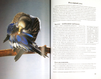 Курт Колар: Волнистые попугайчики. Содержание и уход