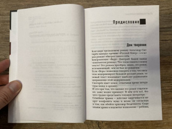 Александр Снегирев: Призрачная дорога