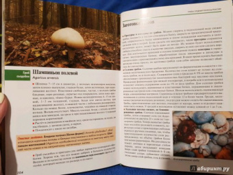 Федор Карпов: Грибы средней полосы России. Атлас-определитель