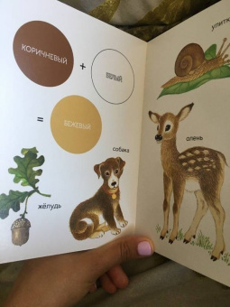 Елена Ивановская: Моя первая книжка о цвете