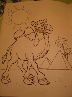 Татьяна Коваль: Живая планета